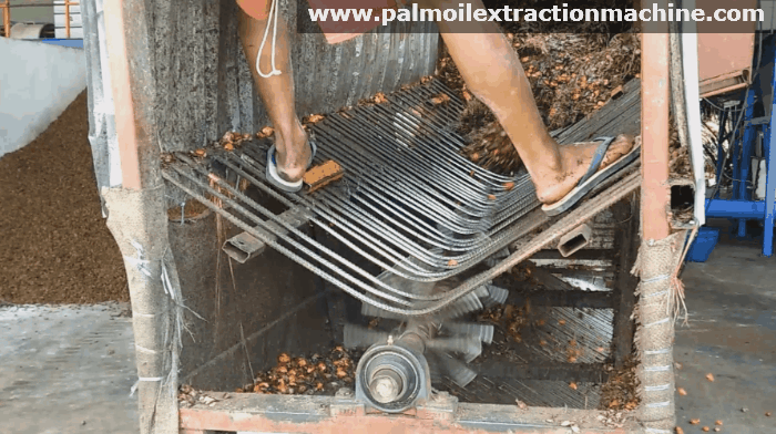 palm furit threshing machine