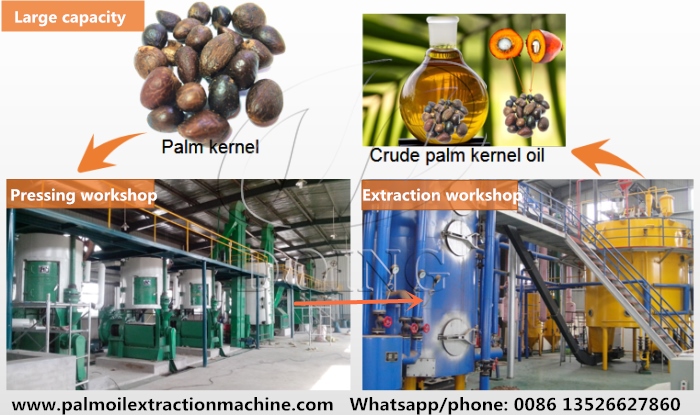 business plan for palm kernel oil extraction