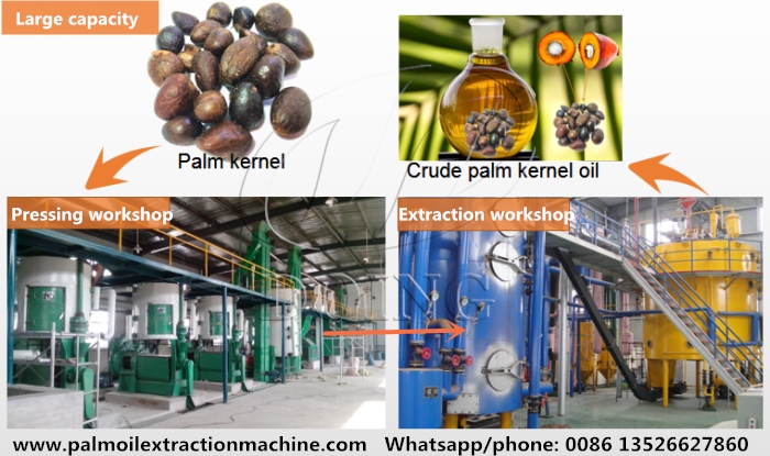 palm kernel oil processing machine 