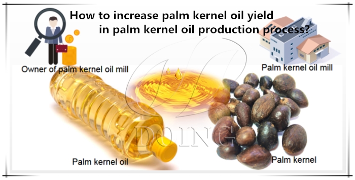 palm kernel oil processing machine 