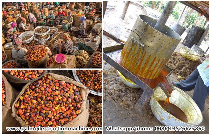 palm oil processing machine