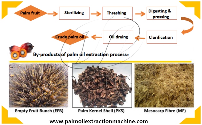 palm oil extraction process