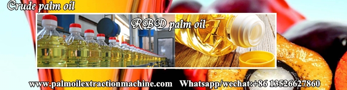 palm oil refining machine 