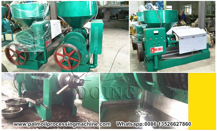 palm kernel oil press machine 