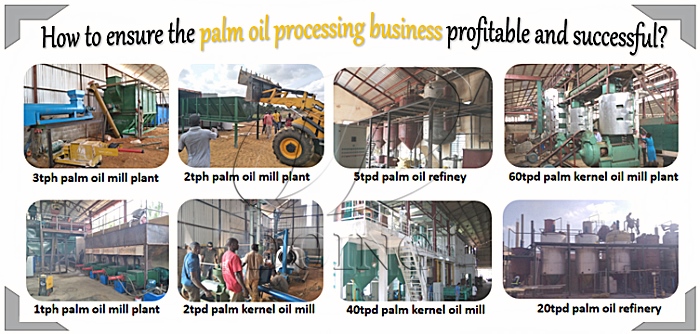 palm oil processing business 