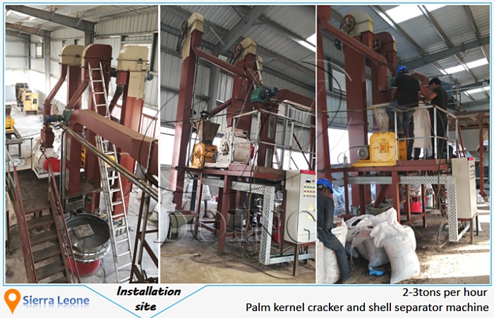palm kernel crushing and separating machine