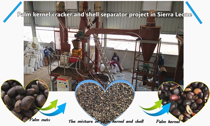 palm kernel crushing and separating machine