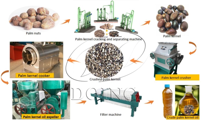 palm kernel oil processing process