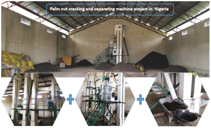 palm kernel cracking and separating machine