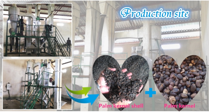 palm kernel cracking and separating machine