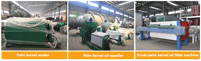 palm kernel oil extraction machine 