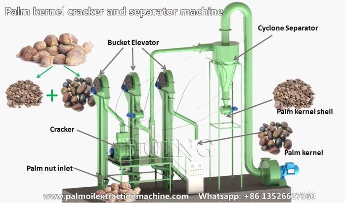 palm kernel cracking and separating machine
