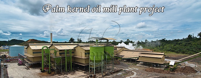 palm kernel oil processing plant 