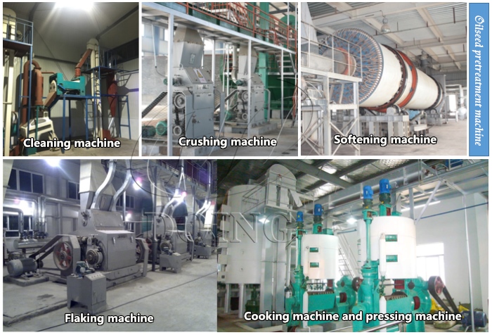 palm kernel oil processing plant