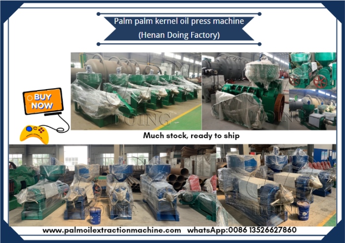 palm kernel oil press machine