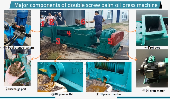 double screw palm oil press machine