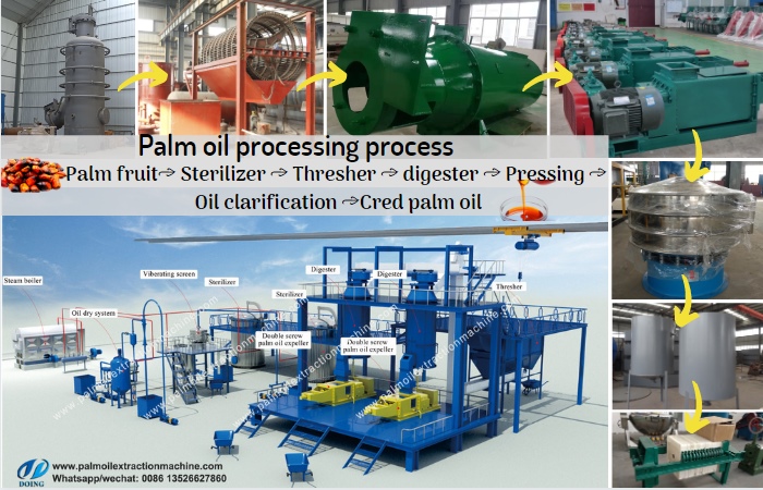 palm oil processing machine