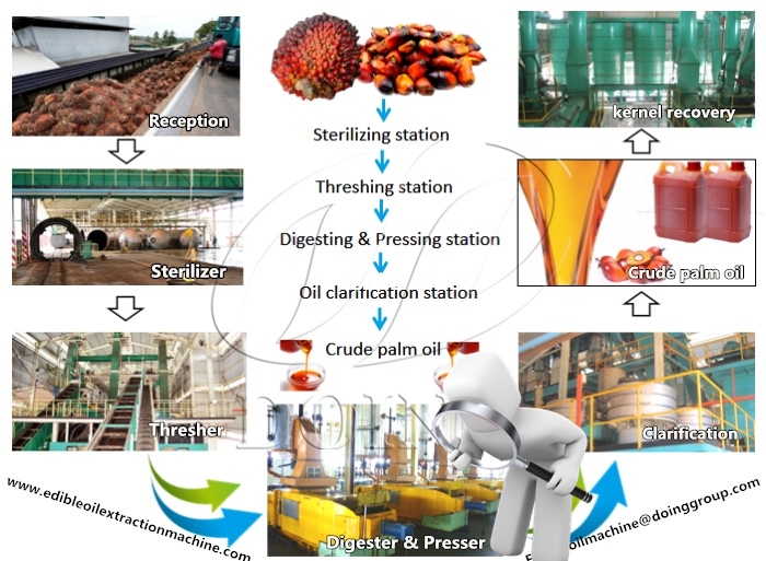 palm oil processing machine