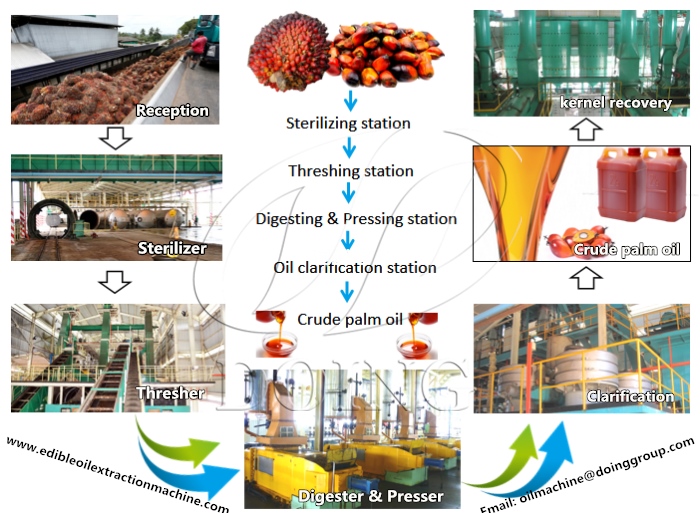 crude palm oil extraction machine