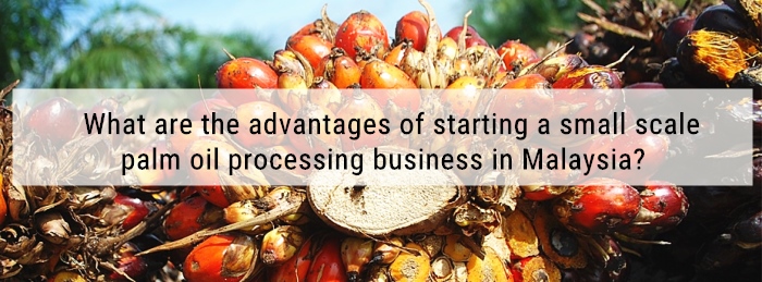 palm oil processing business