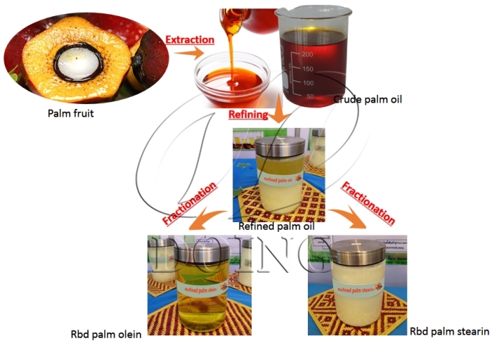 rbd palm oil production process
