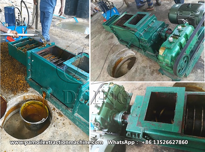 palm oil processing equipment