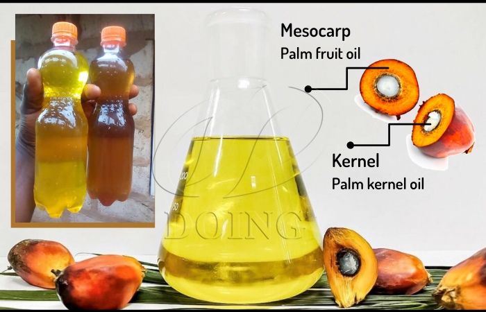 palm kernel oil