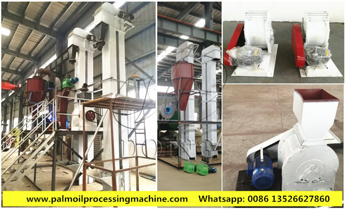 palm kernel oil processing machine