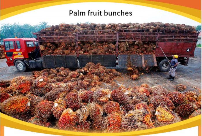 palm fruit bunches