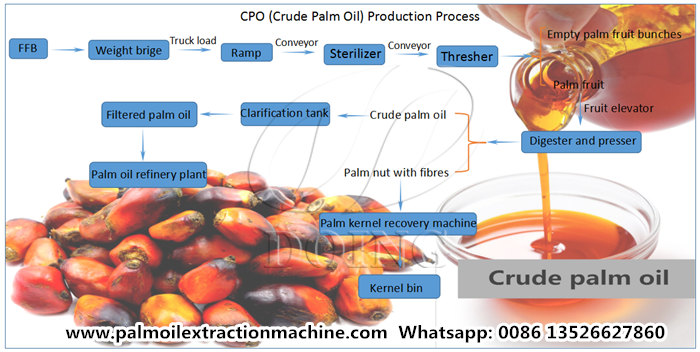 palm oil extraction process