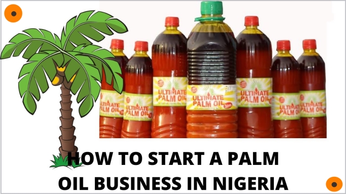 palm oil processing business in nigeria