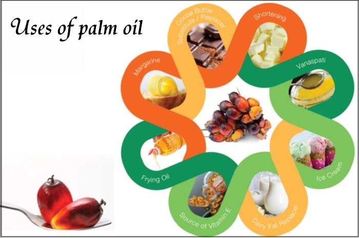 uses of palm oil