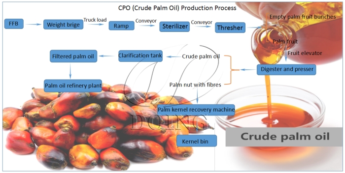 palm oil processing process