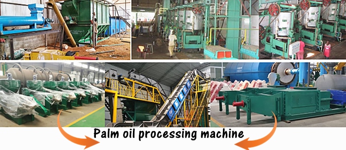 palm oil processing machine