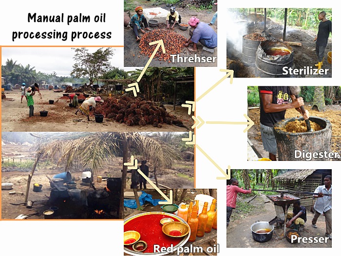 manual palm oil processing