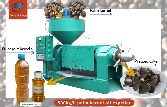 palm kernel oil expeller