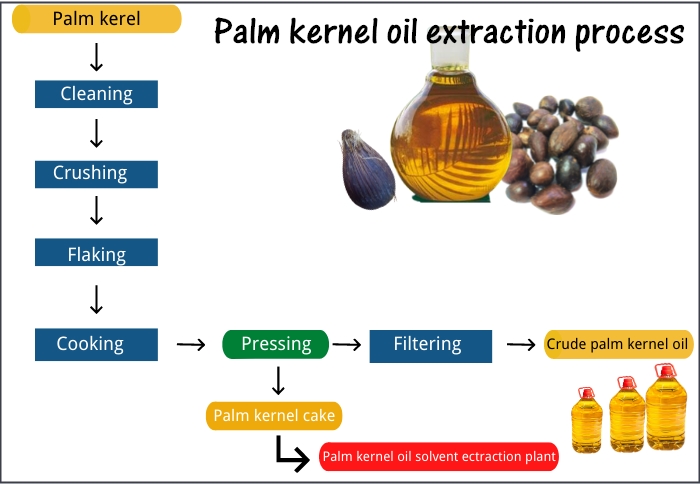 business plan for palm kernel oil extraction