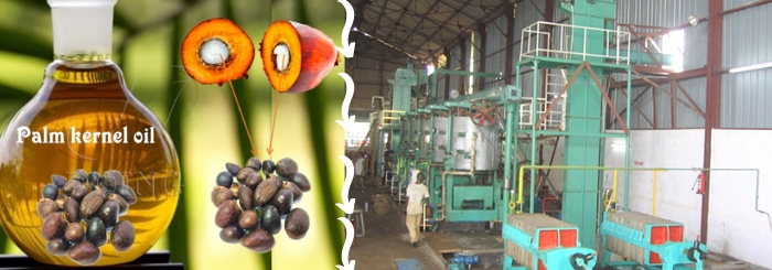 palm kernel oil mill plant