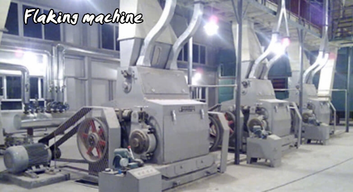 palm kernel flaking machine