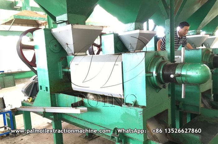 palm kernel oil press machine