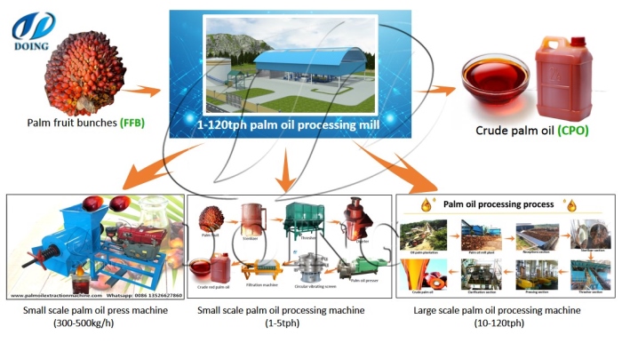 Simple, small and medium and large whole palm oil production lines
