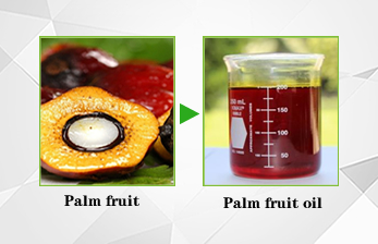 red palm oil