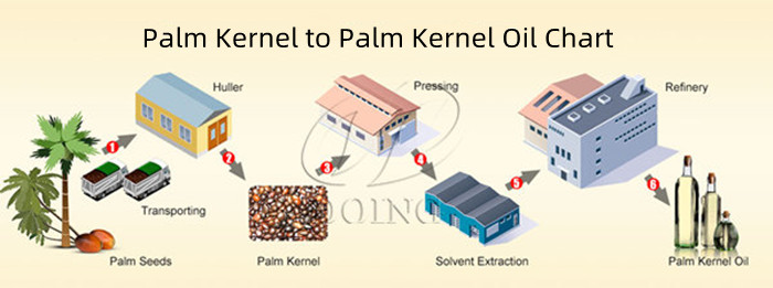 palm kernel oil extration process