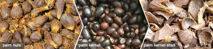 product of palm kernel oil processing