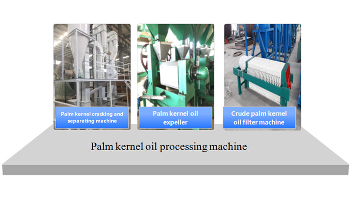 Palm kernel oil processing machine