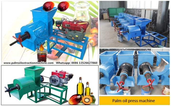 single screw palm oil press