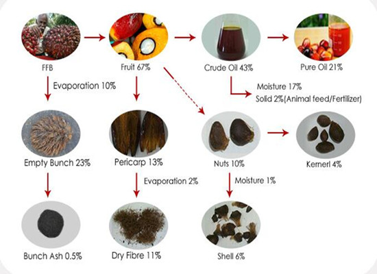 Will there be waste produced in palm oil mill? How to deal with?