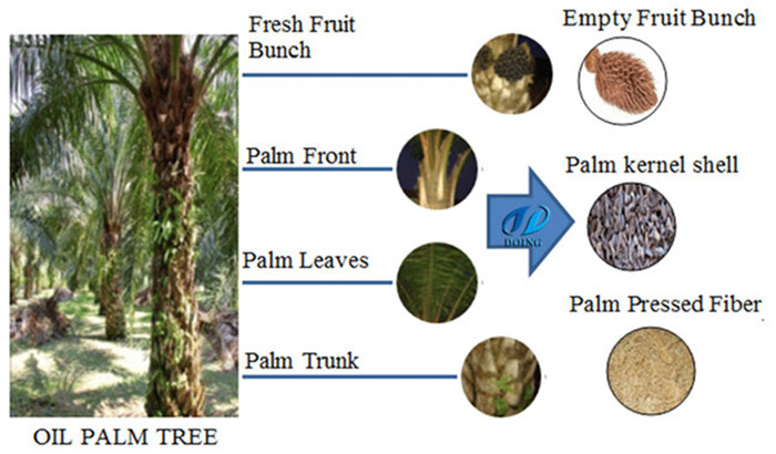 wastes produced in palm oil mill