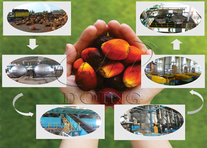 palm oil processing plant