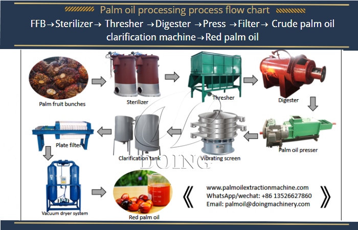 palm oil processing process